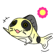 KORIPAN3