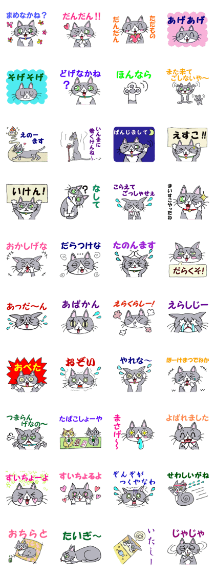Izumo dialect cat Jiji in Shimane