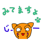 smell Cat's life