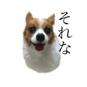 chanstamp