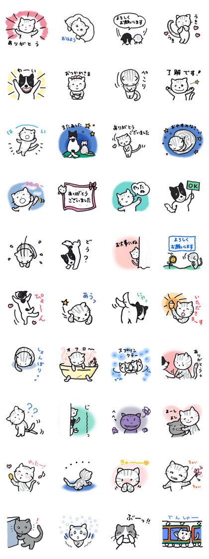 Cat's rachi & Dog's momo