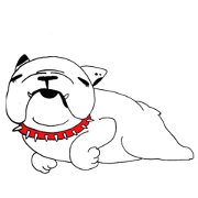 Pogo of French bull