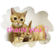 princecat