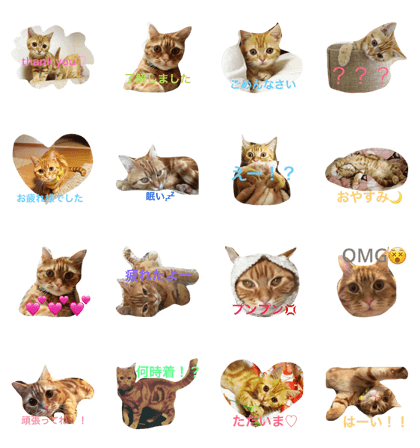 princecat