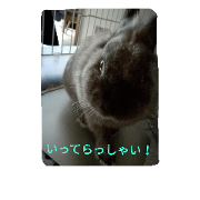 rabbit.talk-2