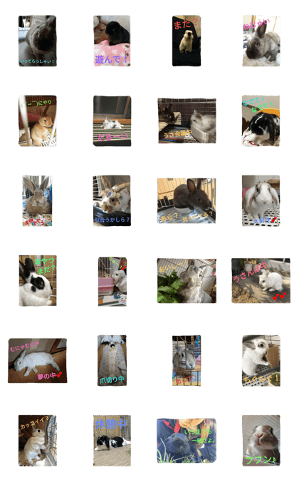 rabbit.talk-2
