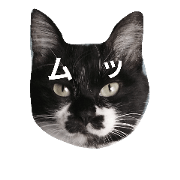 tamako cat