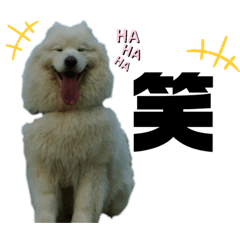 nyanchii_20210413161212