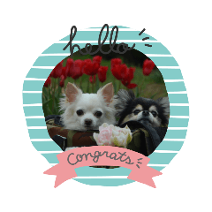 asuka_20210413170250