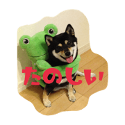 YAMAGUCHI MOMOCHAN