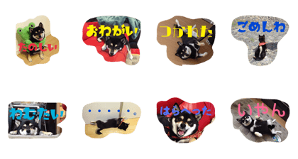YAMAGUCHI MOMOCHAN