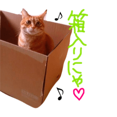 chirochan part2