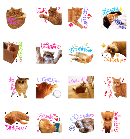 chirochan part2