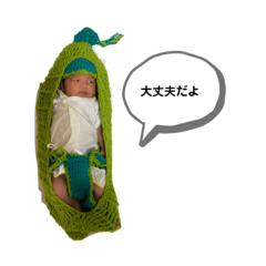 kahokoko