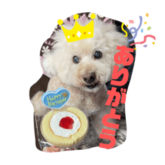 ayumi_20210413180943