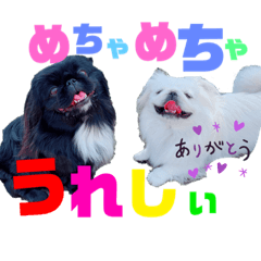 risa_20210413195804