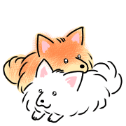 A good friend pomeranian