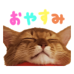 ponzu_20210413220728