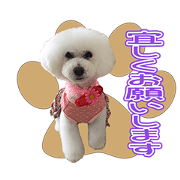 MIMI'S CUTE Sticker