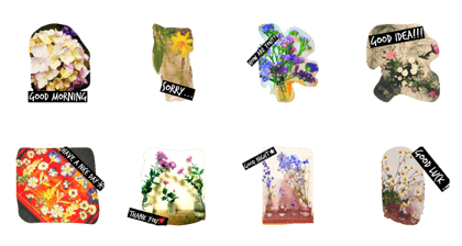 pictures of flower