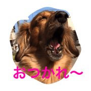 rinchan2