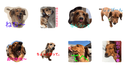 rinchan2