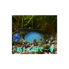 hana_20210414061429