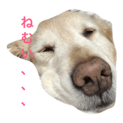kuuuuuuu