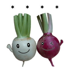 realistic vegetable sticker 2