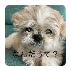yuto_20210414073912