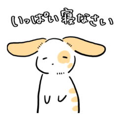 だらしなくやさしいうさぎ