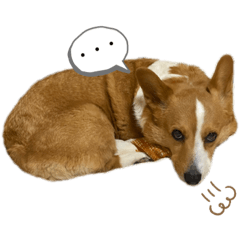 コーギー Lineクリエイターズスタンプまとめ Stamplist コーギー Lineクリエイターズスタンプまとめ Stamplist