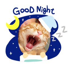 我有一個漂亮媽媽