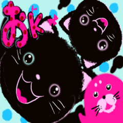 Black cat,blue,pink1