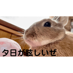 mimi_20210414152534