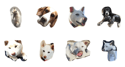 cute dogs!!!