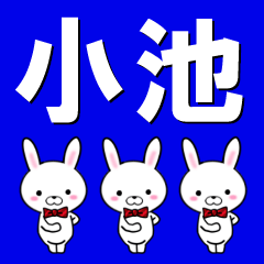 超★小池(こいけ・コイケ)なウサギ