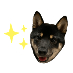 risa_20210414171201