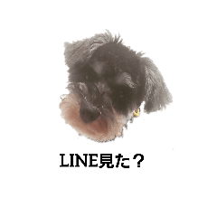 Emily_20210414154827