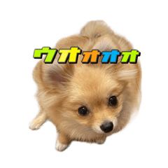 vivi_20210414180548