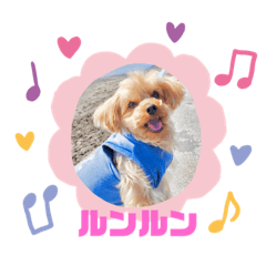 mimi_20210414153417