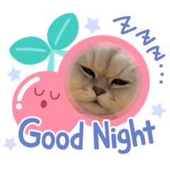 chie_20210414221536