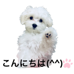 Sharon_20210414233126