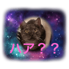 natsumi_20210414215524