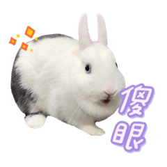 小比子bebe