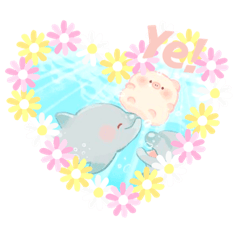 我的小Pig