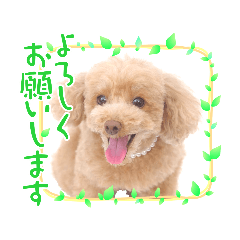 miki_20210415104942