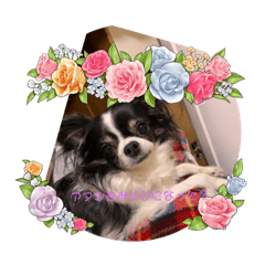 mimi_20210415124445