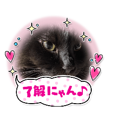 hana_20210414204303