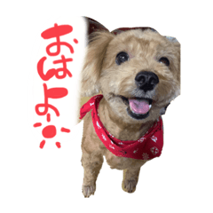 rina_20210414211539 - Stiker LINE | LINE STORE